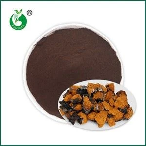 Chaga Extract Powder