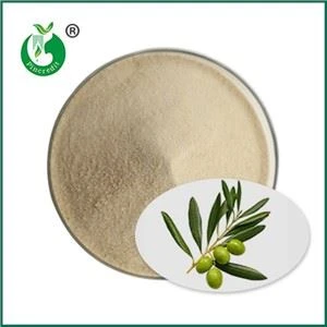 Hydroxytyrosol Powder