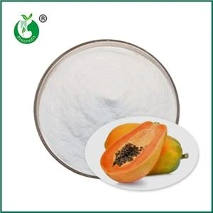 Organic Papain Powder