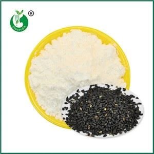 Sesamin Powder