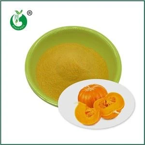 Organic Pumpkin Powder
