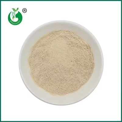 Urolithin A Powder: Why Has It Become a New Focus in Anti-Aging Research?