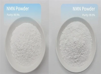 Has NMN Powder Been Banned?