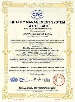 ISO9001