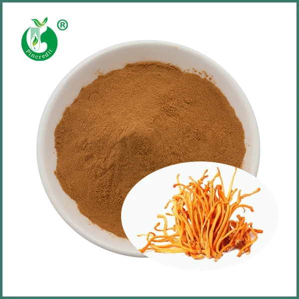Cordyceps Militaris Extract Powder
