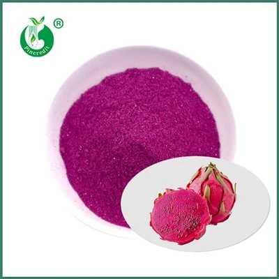 Dragon Fruit Freeze Dried Powder