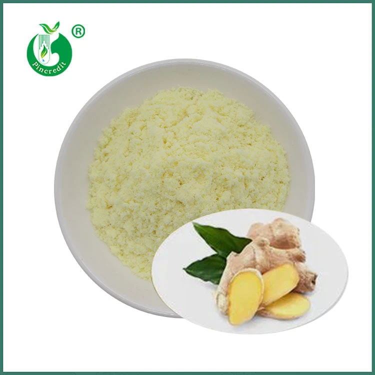Gingerol Powder