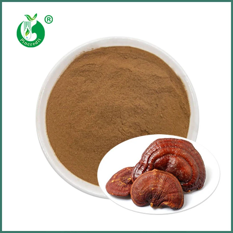 Reishi Extract Powder