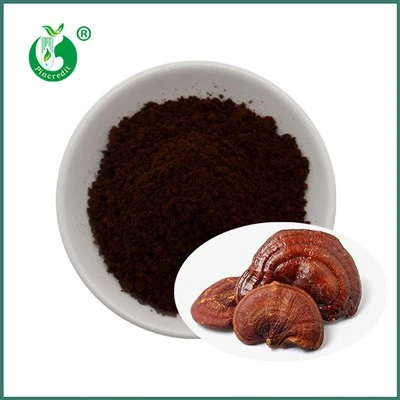 Reishi Spore Powder