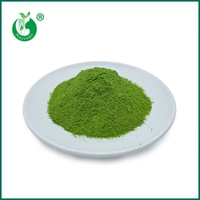 Matcha Green Tea Powder