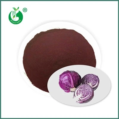Red Cabbage Juice Powder